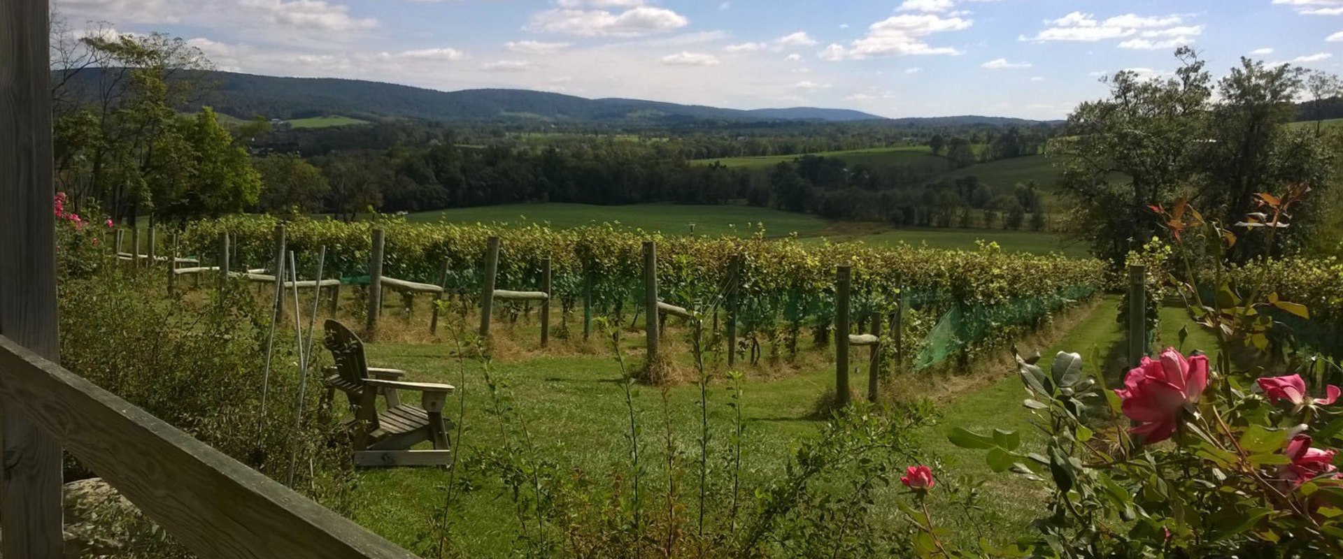 Agriculture and Its Role in the Development of Loudoun County, VA: An Expert's Perspective