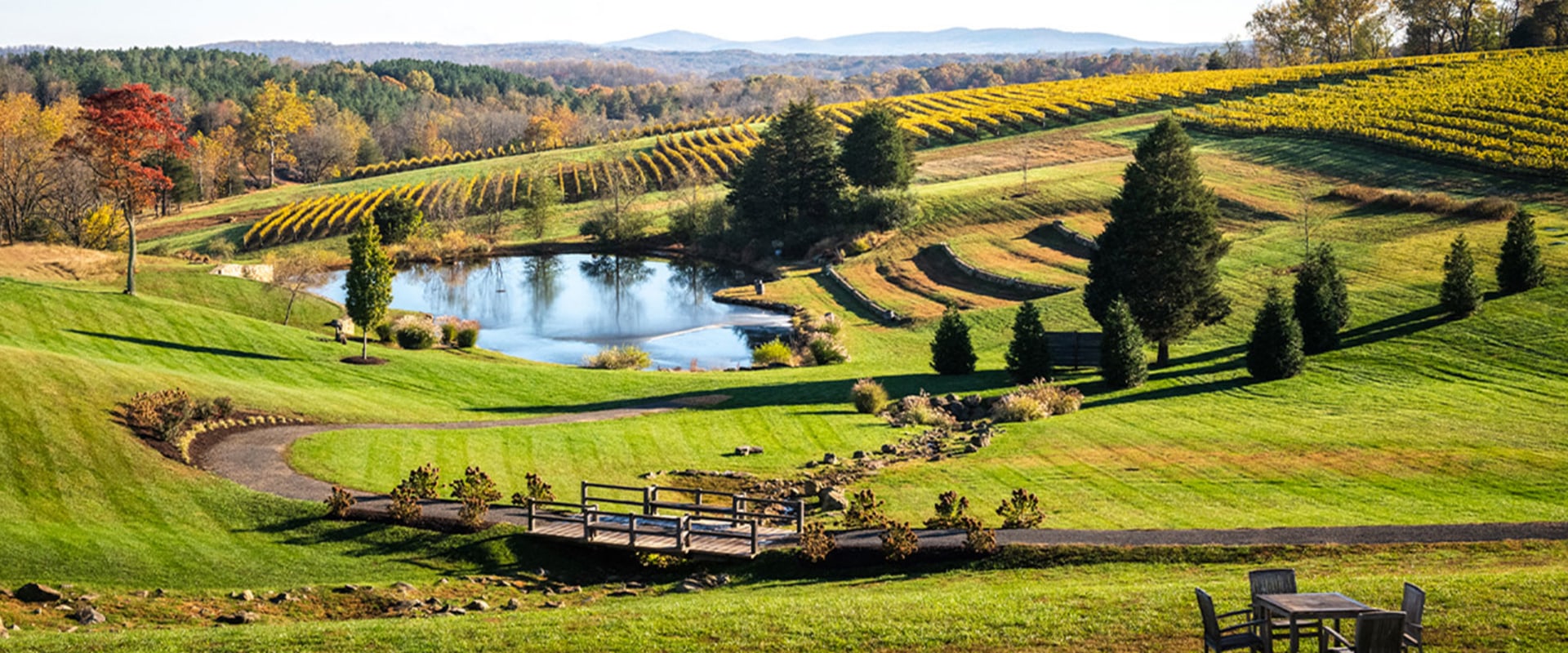 Experience the Unique Features of Loudoun County, Virginia
