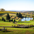 Experience the Unique Features of Loudoun County, Virginia