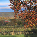 The Booming Craft Beer Scene in Loudoun County, VA