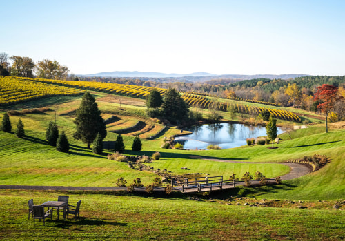 Experience the Unique Features of Loudoun County, Virginia