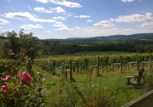 Agriculture in Loudoun County, VA: A Historical and Sustainable Perspective