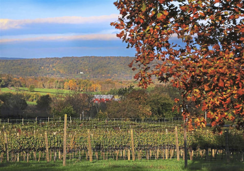The Booming Craft Beer Scene in Loudoun County, VA